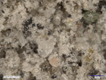 Microscope Photo of NU-LHT-4M